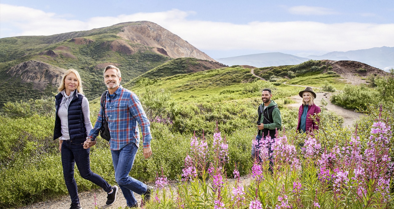 Family hiking in Alaska with fireweed flowers and rolling green hills in the background. Click to book Cruisetours.