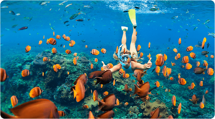 Woman snorkeling in the Caribbean with school of orange fish.