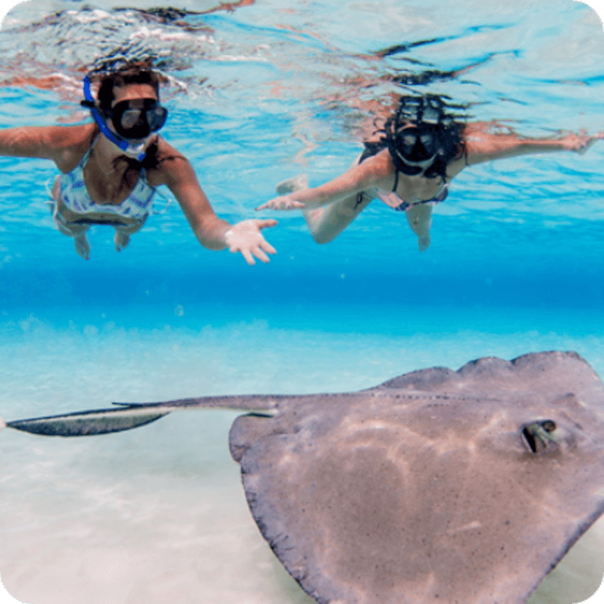 Mother and daughter snorkeling above stingray on excursion in Cozumel.